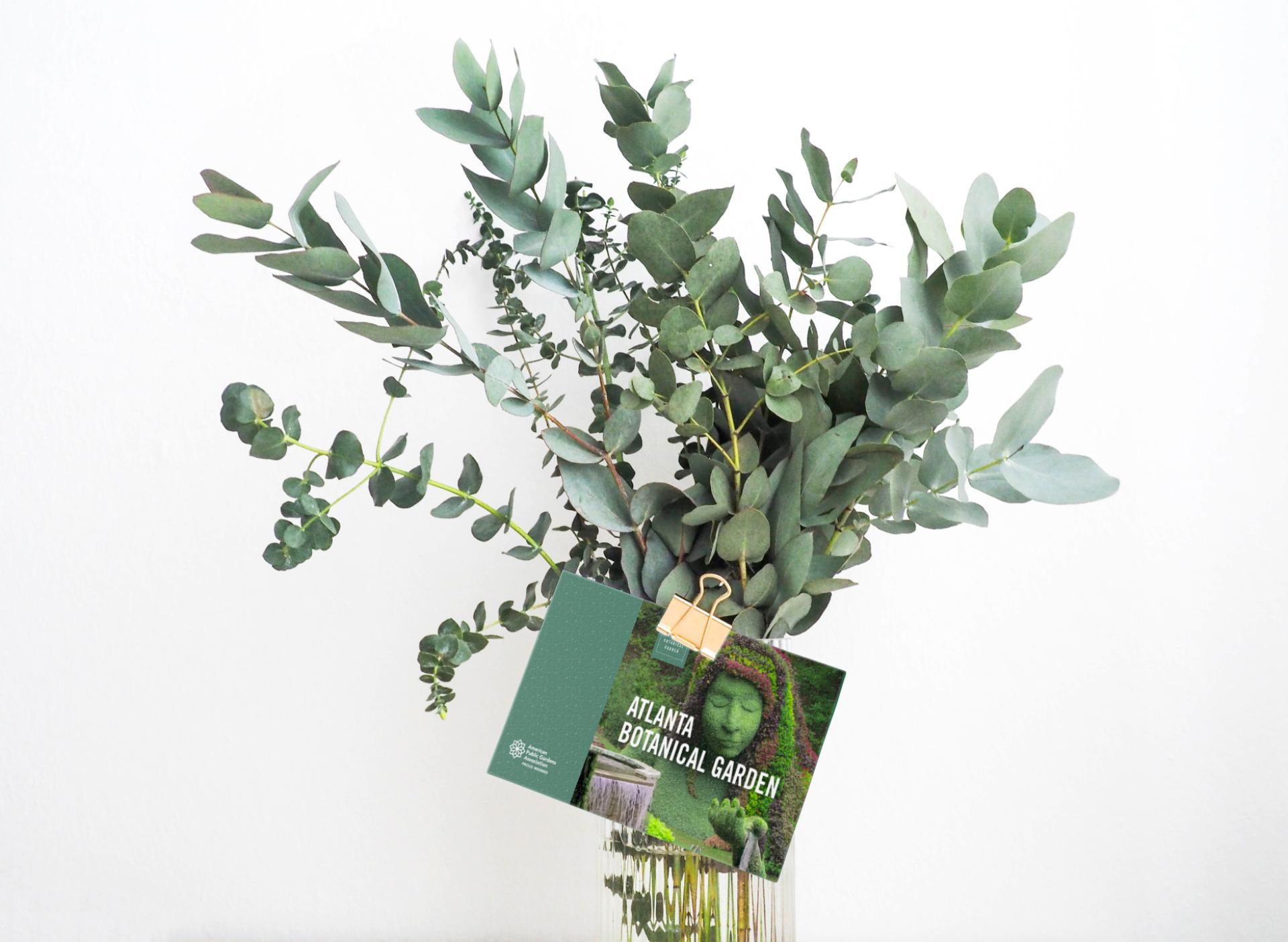 London Design Awards Winner - BOTANICAL GARDEN Atlanta