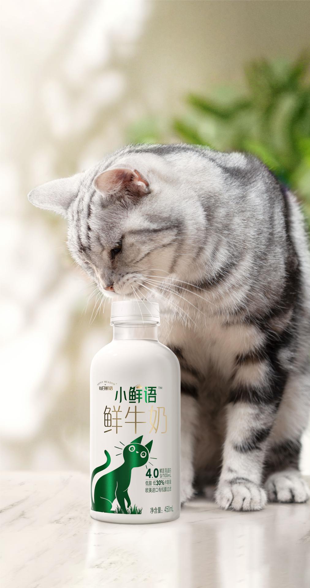 London Design Awards Winner - SHINY MEADOW MILK FIT Package Design