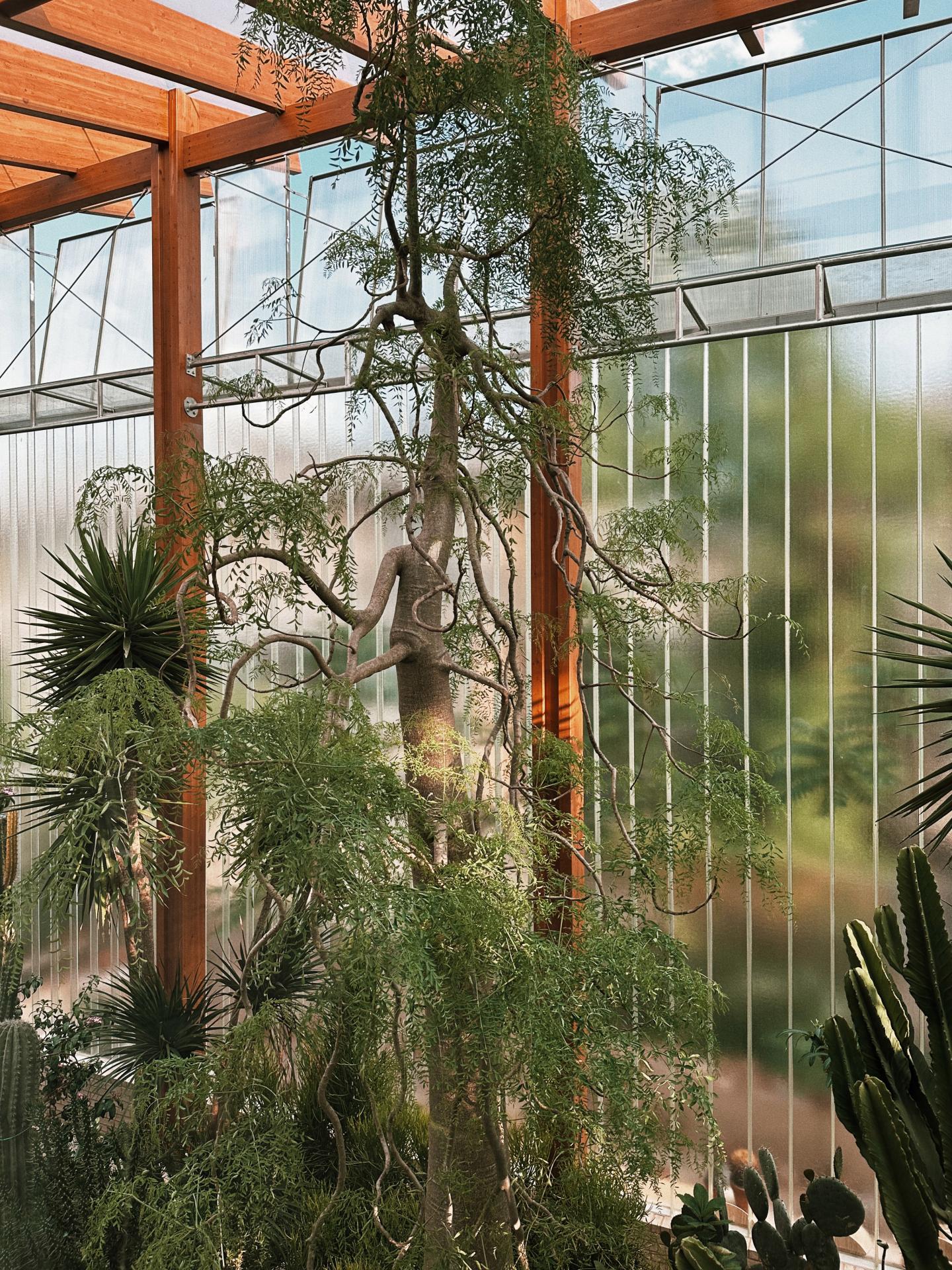 London Design Awards Winner - Cactus House