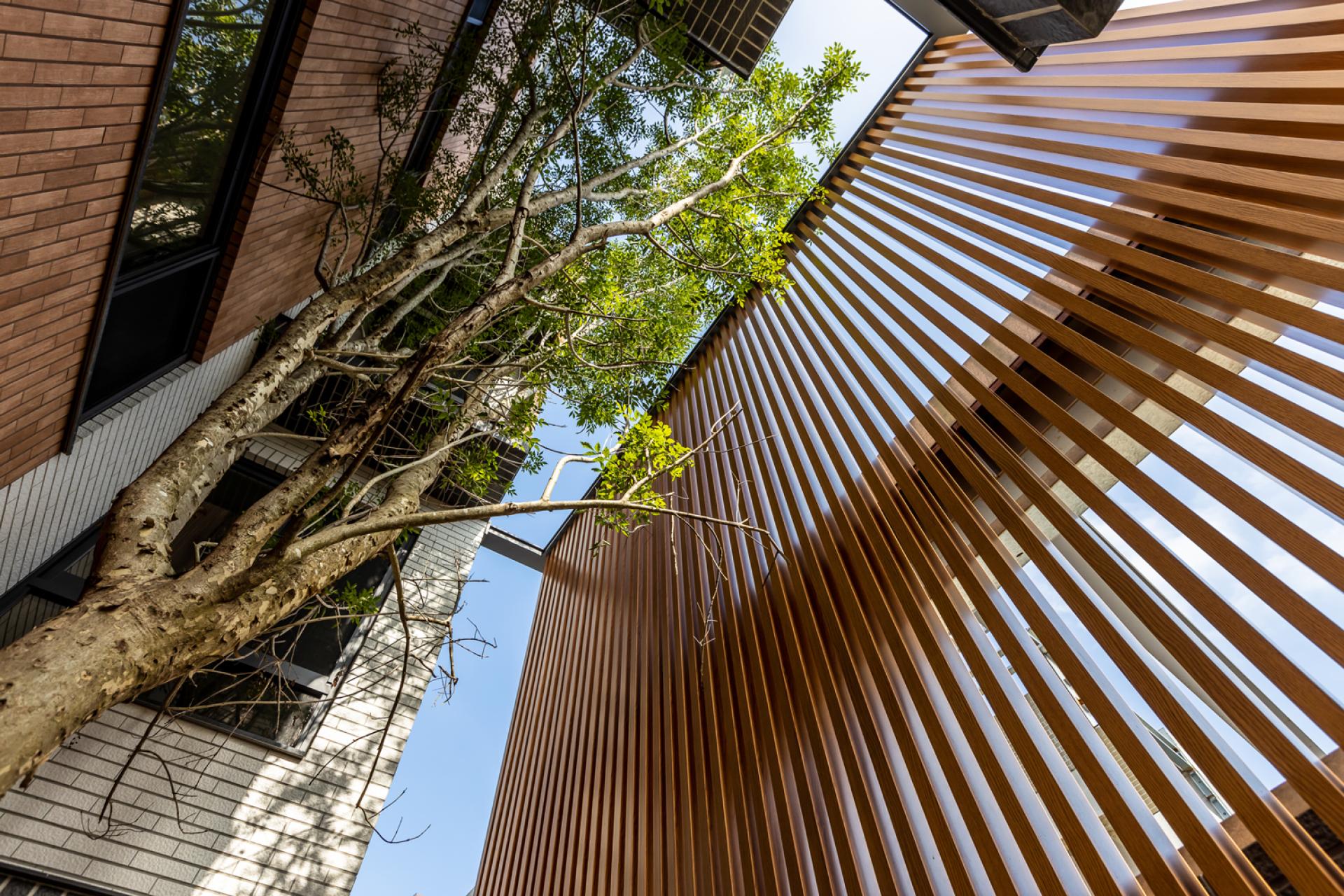 London Design Awards Winner - Splendid View
