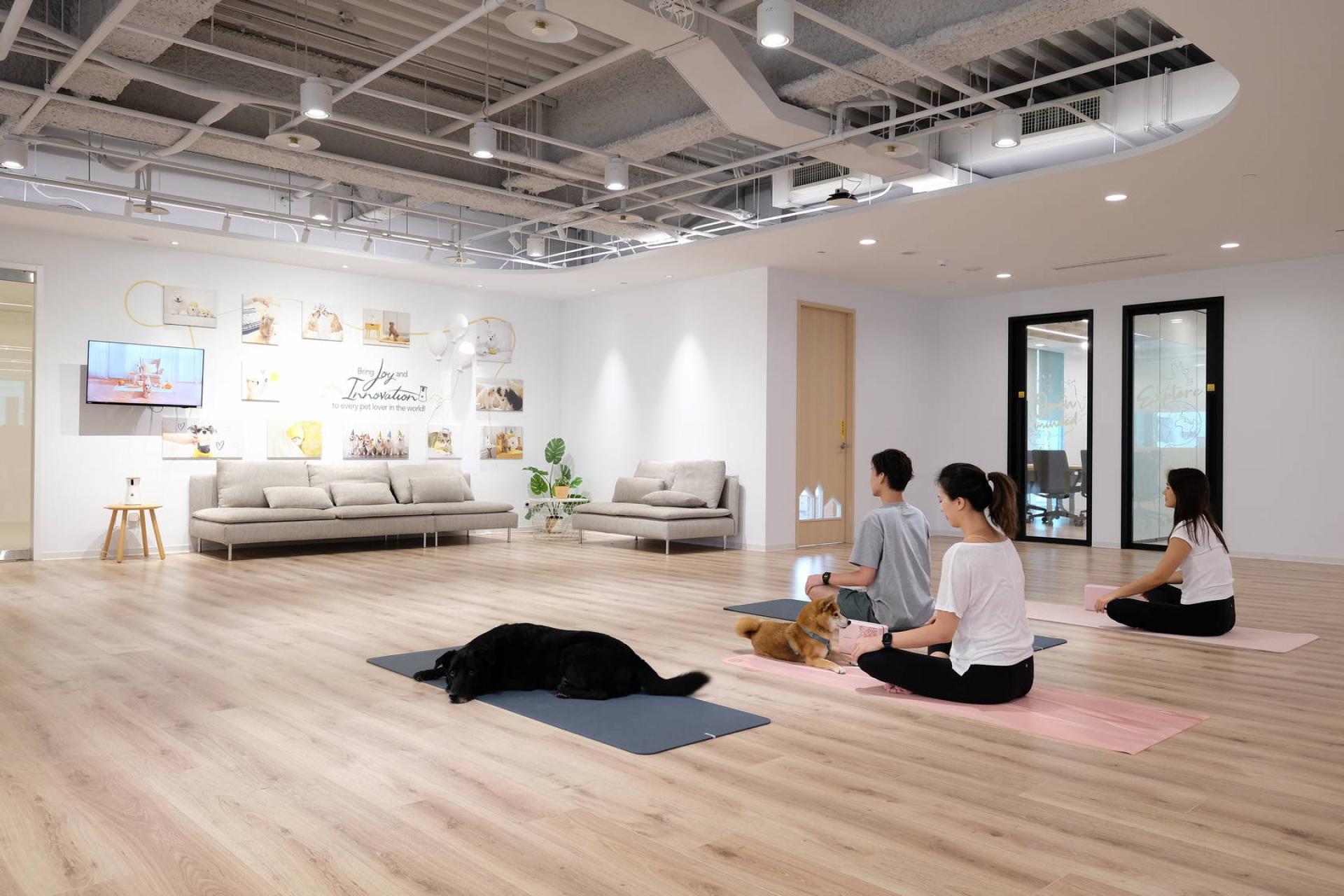 London Design Awards Winner - Tomofun, Furbo Dog Camera