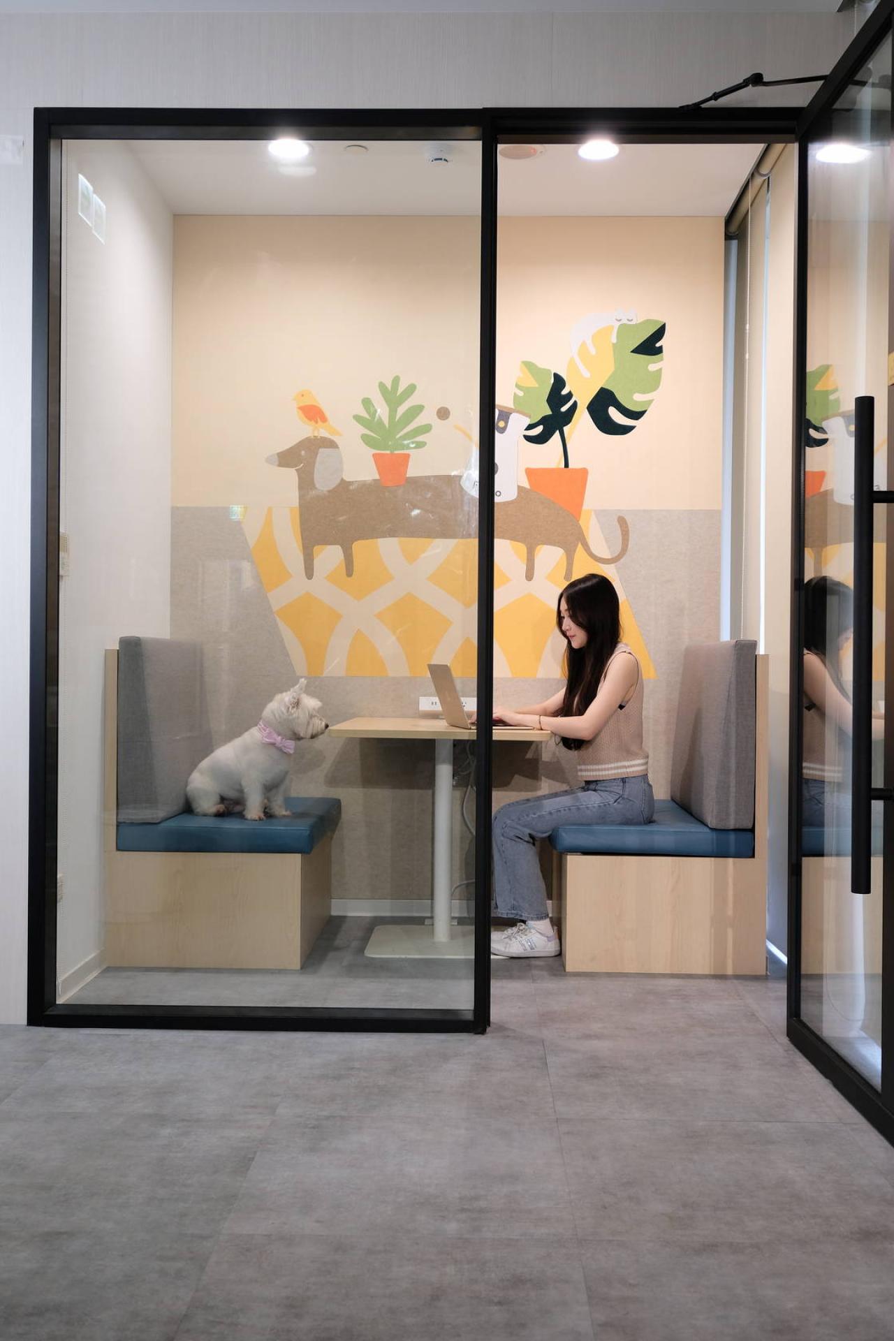 London Design Awards Winner - Tomofun, Furbo Dog Camera