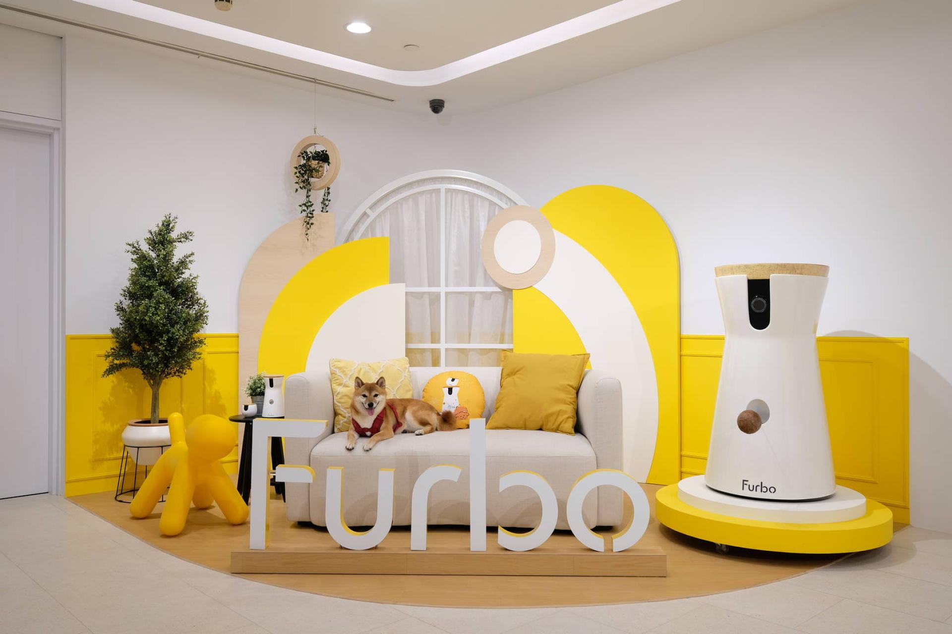 London Design Awards Winner - Tomofun, Furbo Dog Camera