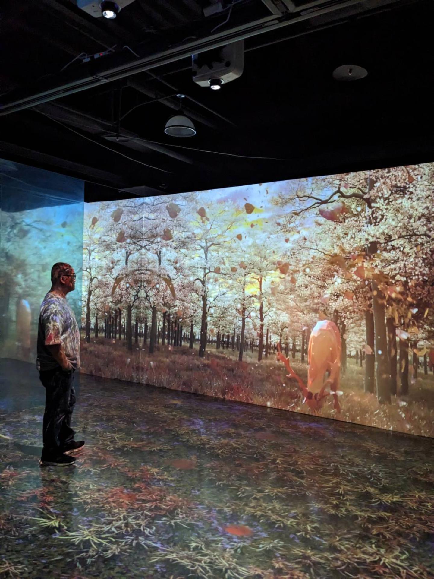London Design Awards Winner - Reproduction ∞ nature