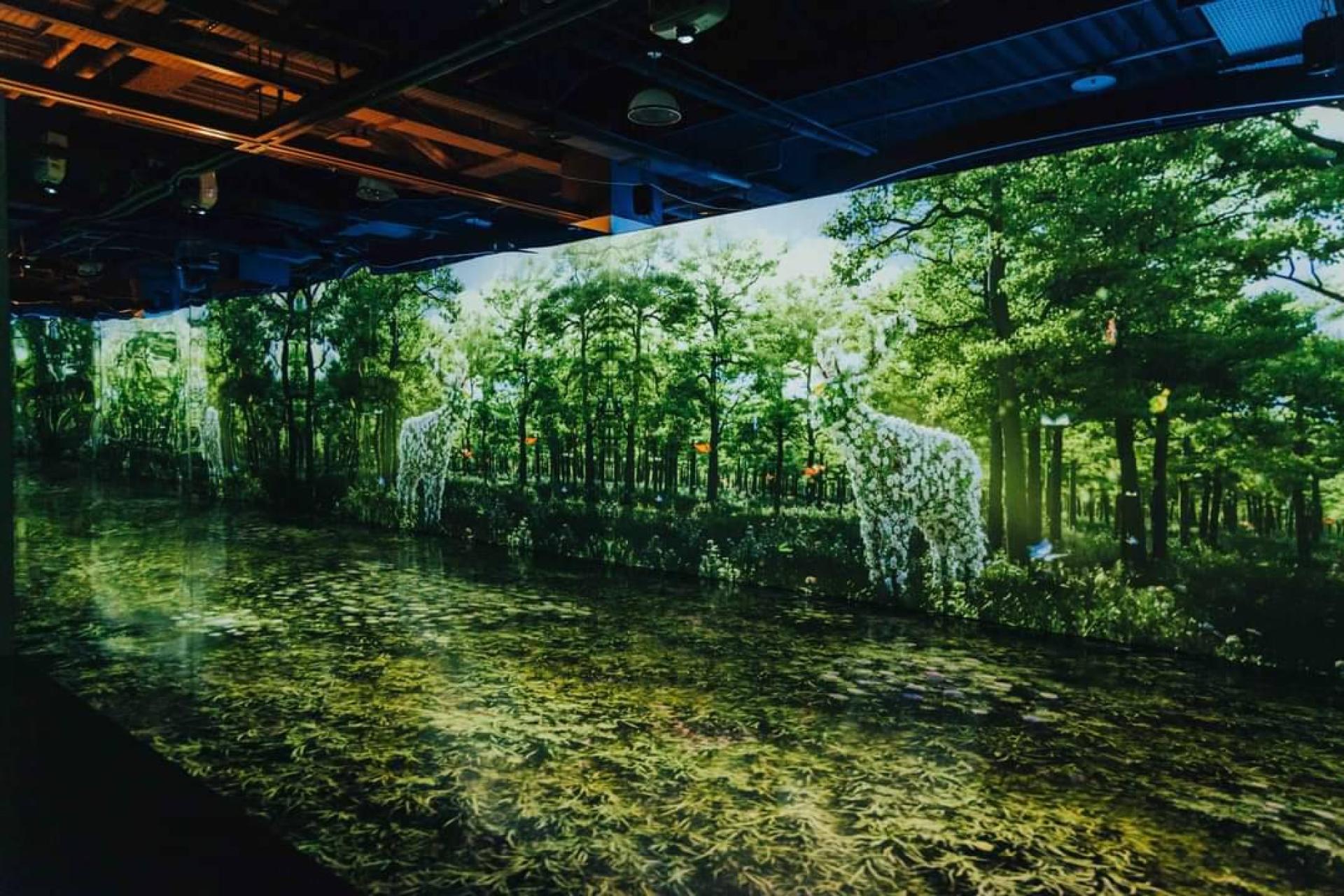 London Design Awards Winner - Reproduction ∞ nature
