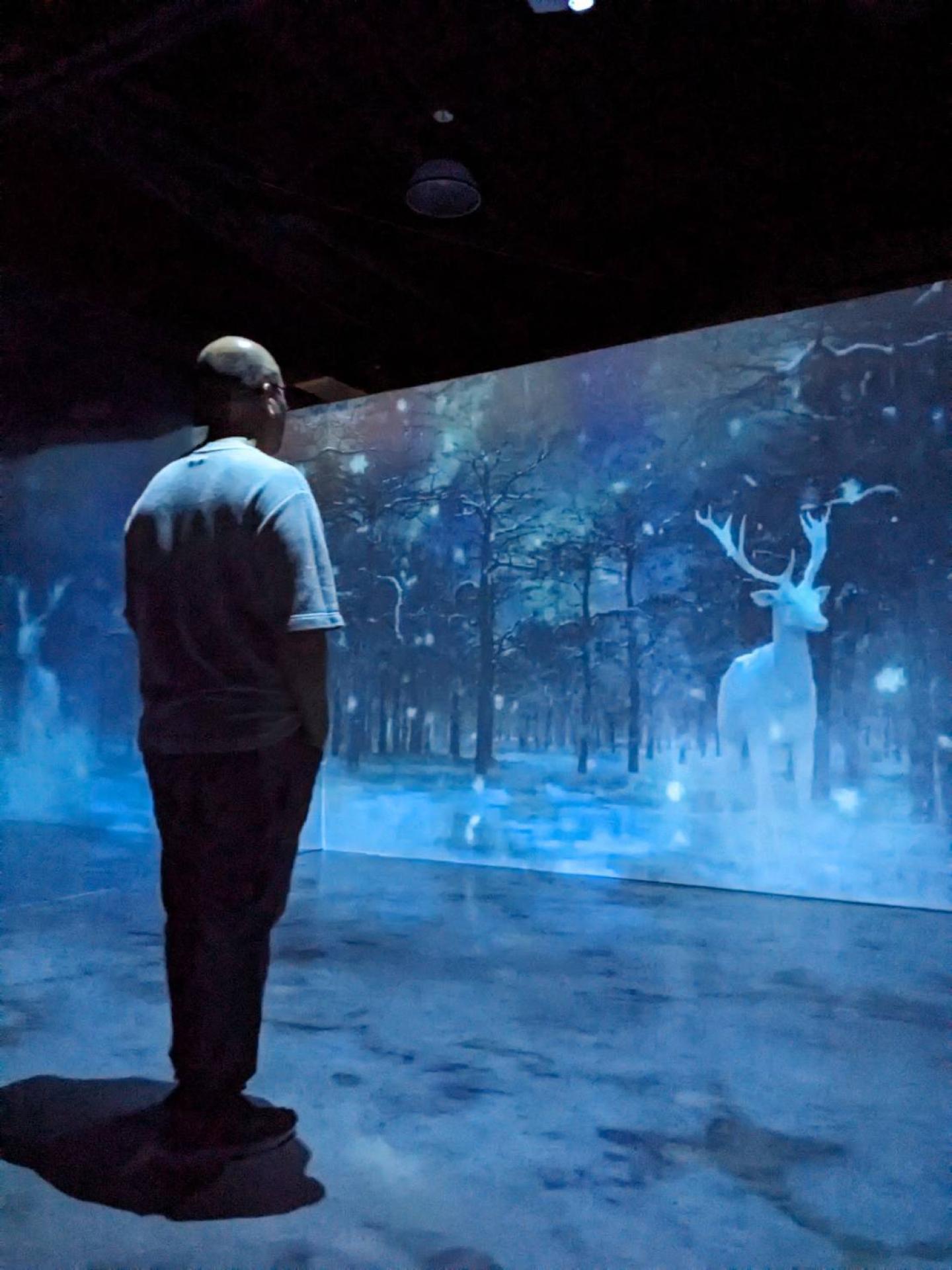 London Design Awards Winner - Reproduction ∞ nature
