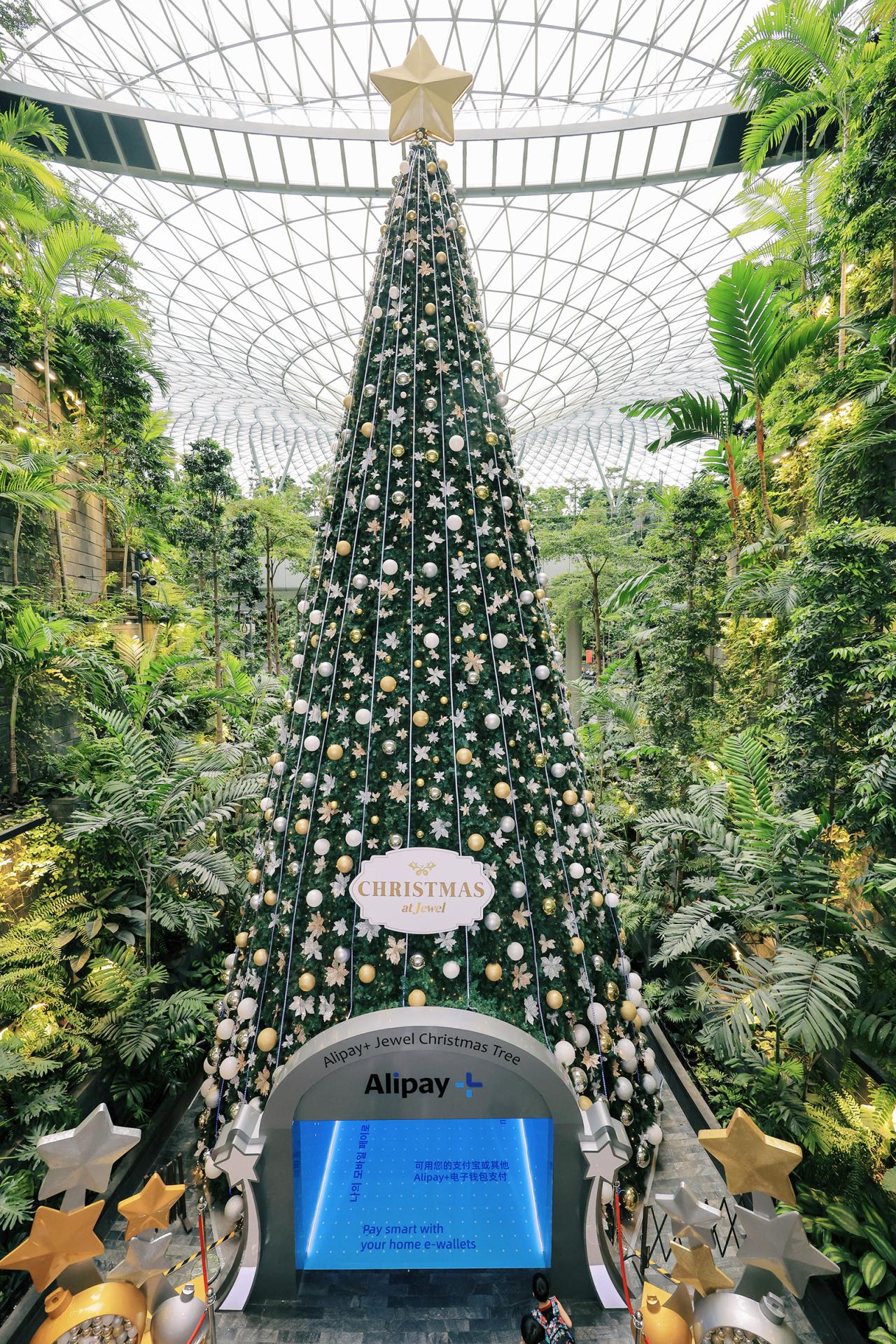 London Design Awards Winner - Alipay+ Xmas Pop-up Store At Singapore Changi Airport